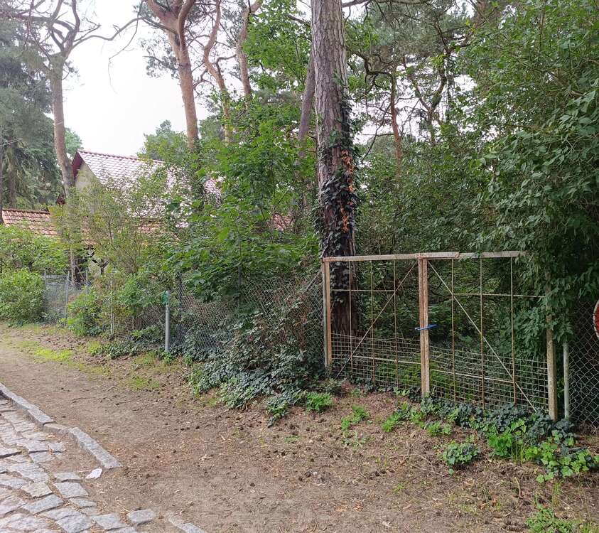 Thumbnail-Grundstück zu verkaufen in Brandenburg - Hoppegarten 325.000,00 € 800 m²