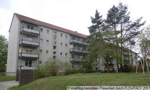 Thumbnail-Wohnung zum Mieten in Riesa 320,00 € 51.35 m²