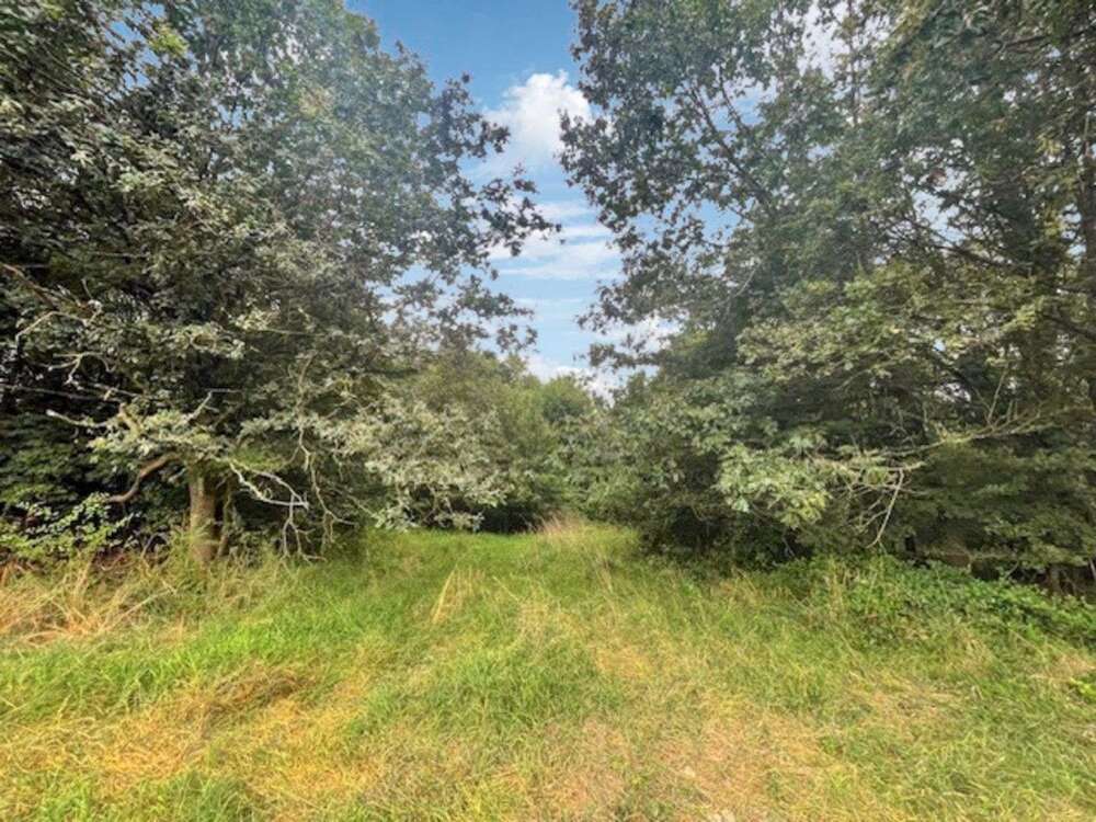 Thumbnail-Grundstück zu verkaufen in Kusel 545.000,00 € 6822 m²