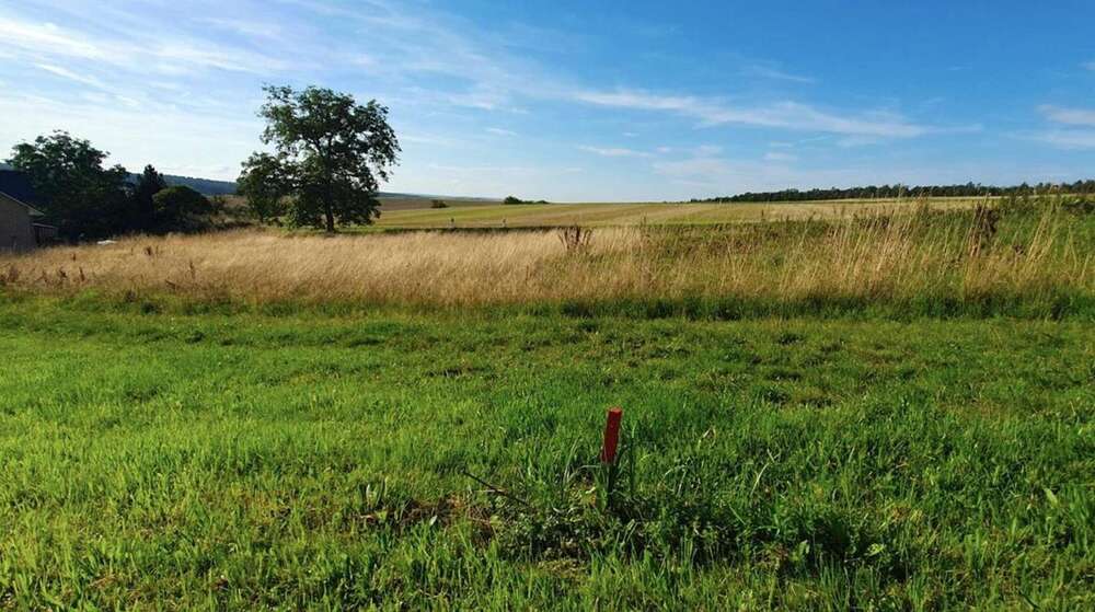 Thumbnail-Grundstück zu verkaufen in Weidenbach 90.446,00 € 789 m²