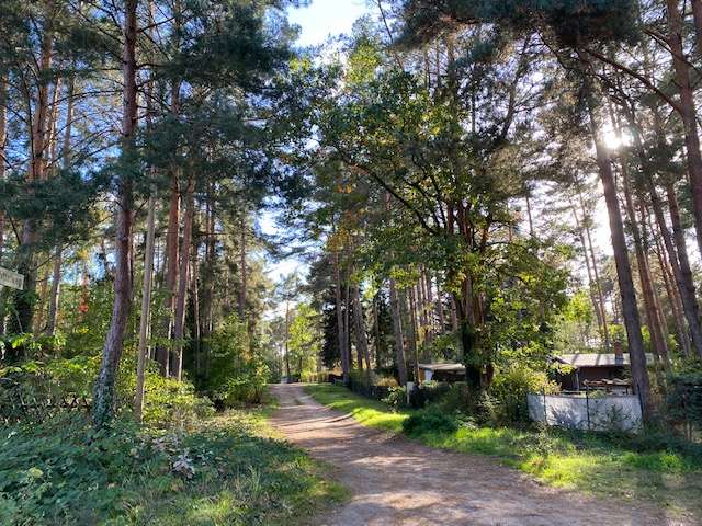 Thumbnail-Grundstück zu verkaufen in Töpchin 128.000,00 € 993 m²