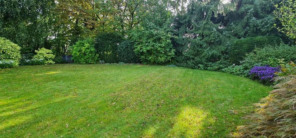 Thumbnail-Grundstück zu verkaufen in Dormagen-Zons 439.000,00 € 660 m²