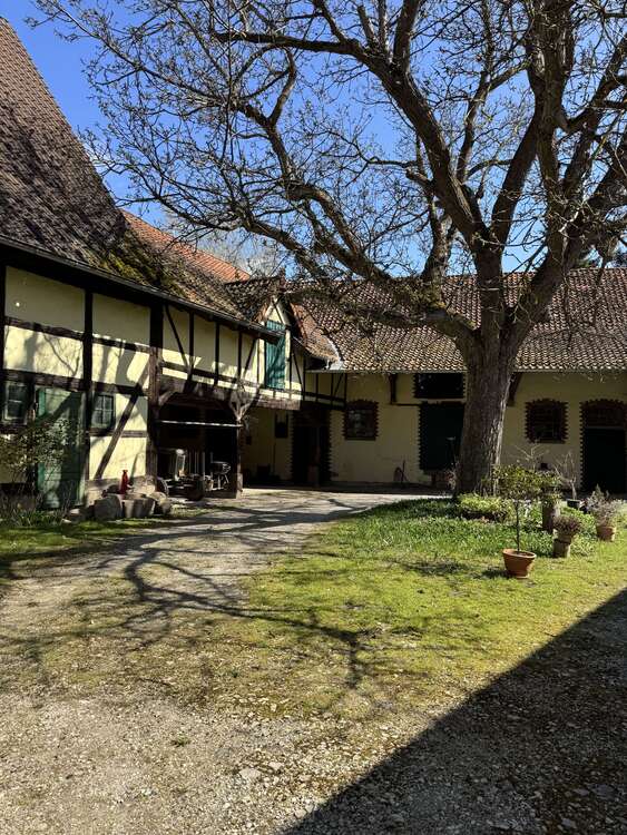 Thumbnail-Haus zum Kaufen in Greene 320.000,00 € 291 m²
