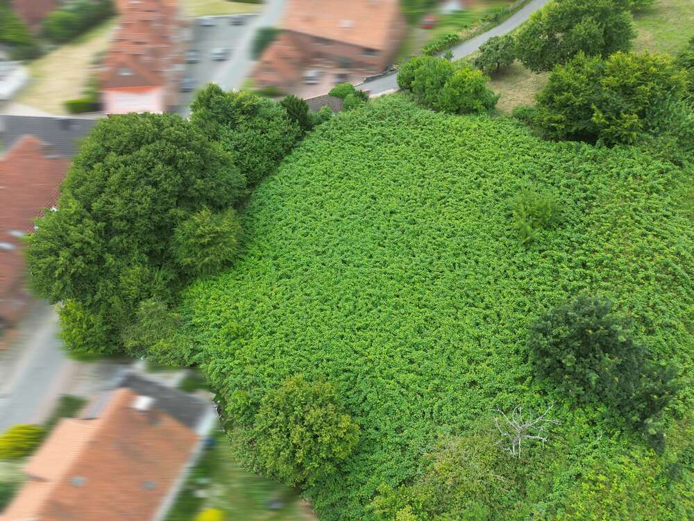 Thumbnail-Grundstück zu verkaufen in Rinteln 136.000,00 € 2253 m²