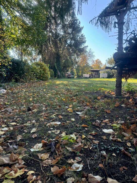 Thumbnail-Grundstück zu verkaufen in Quedlinburg 115.000,00 € 915 m²