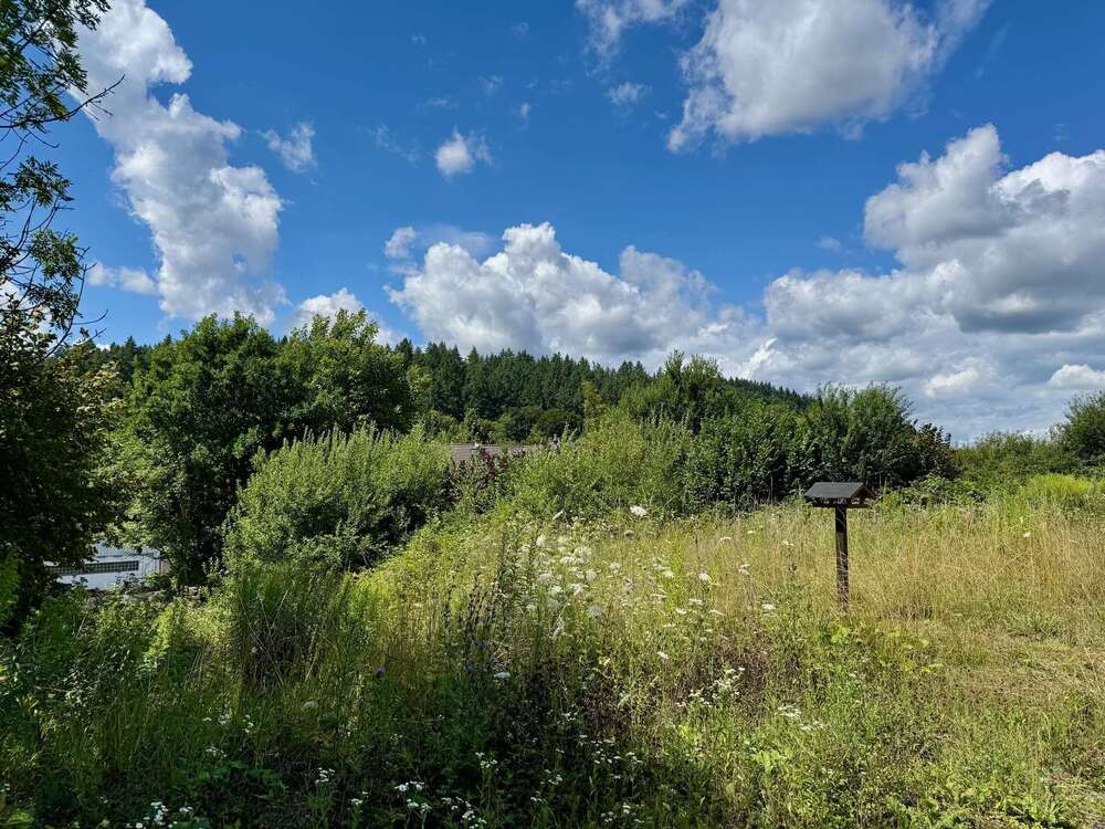 Thumbnail-Grundstück zu verkaufen in Braunfels 76.000,00 € 406 m²