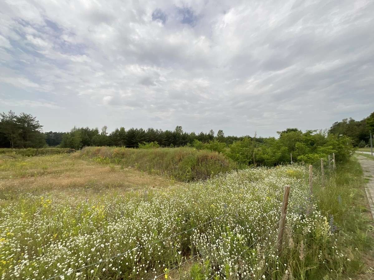 Thumbnail-Grundstück in FürstenwaldeSpree 139.000,00 € 1000 m²