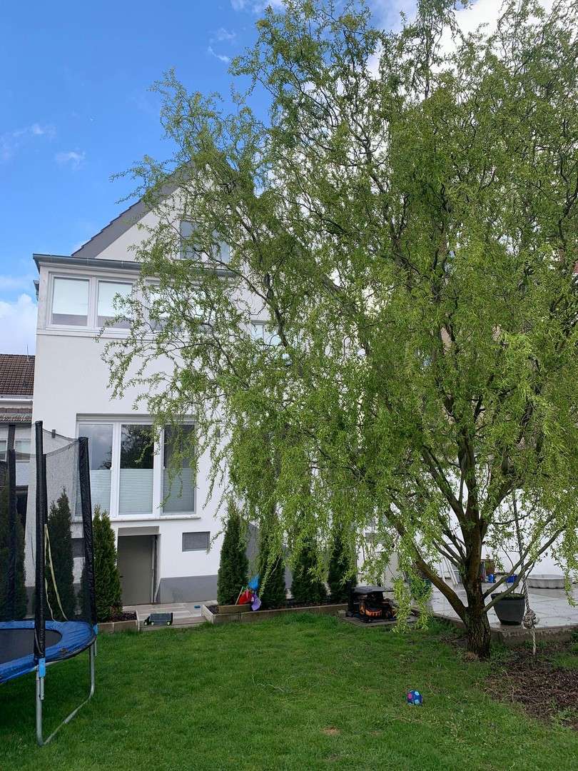 Thumbnail-Haus zum Kaufen in Düsseldorf 945.000,00 € 215 m²