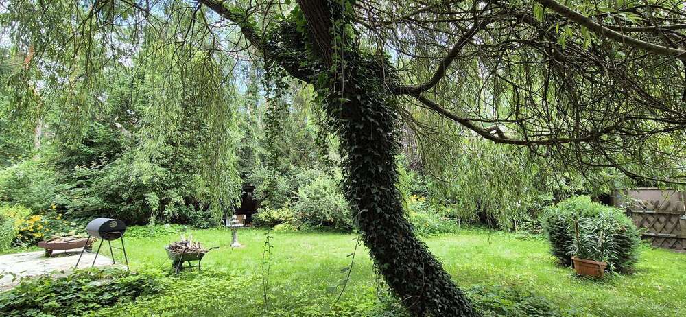 Thumbnail-Grundstück zu verkaufen in Wandlitz 119.000,00 € 400 m²