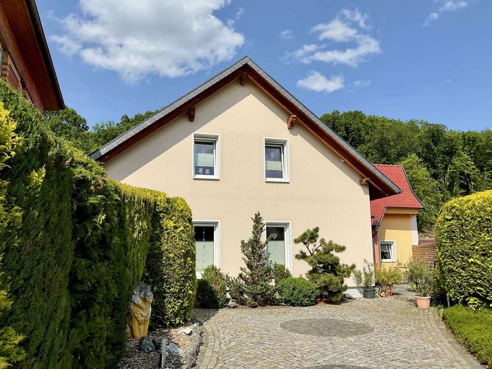 Thumbnail-Haus zum Kaufen in Leinefelde-Worbis 590.000,00 € 240 m²