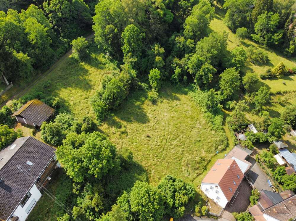 Thumbnail-Grundstück zu verkaufen in Bann 85.000,00 € 2000 m²