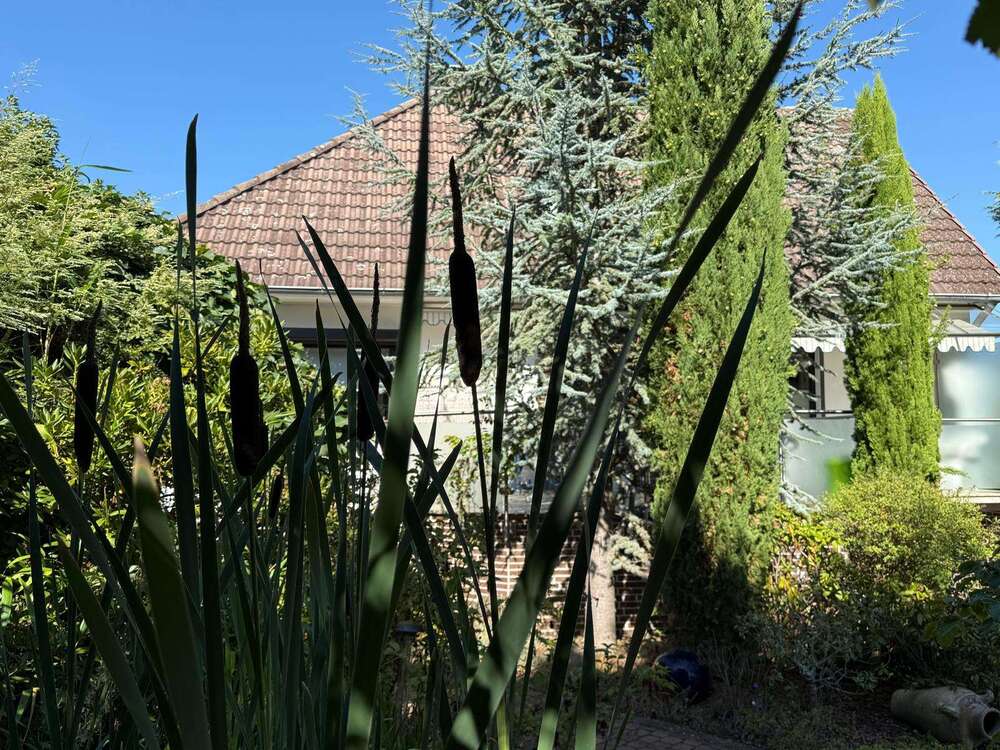 Thumbnail-Haus zum Kaufen in Barsinghausen 449.000,00 € 203 m²