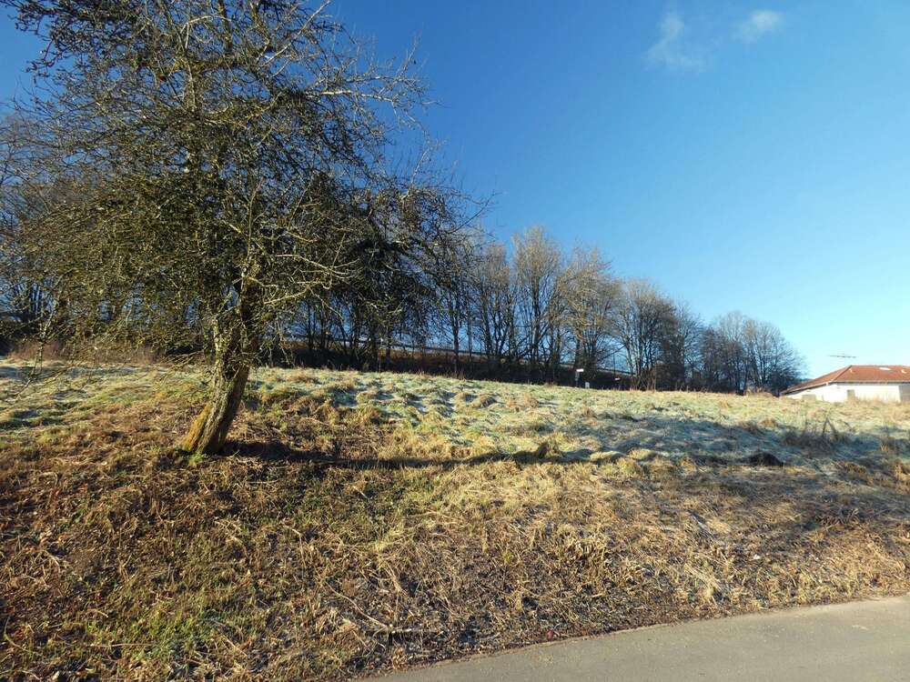 Thumbnail-Grundstück zu verkaufen in Weselberg 75.000,00 € 680 m²