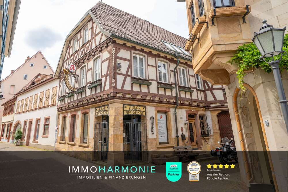 Thumbnail-Haus zum Kaufen in Bad Bergzabern 349.000,00 € 297 m²