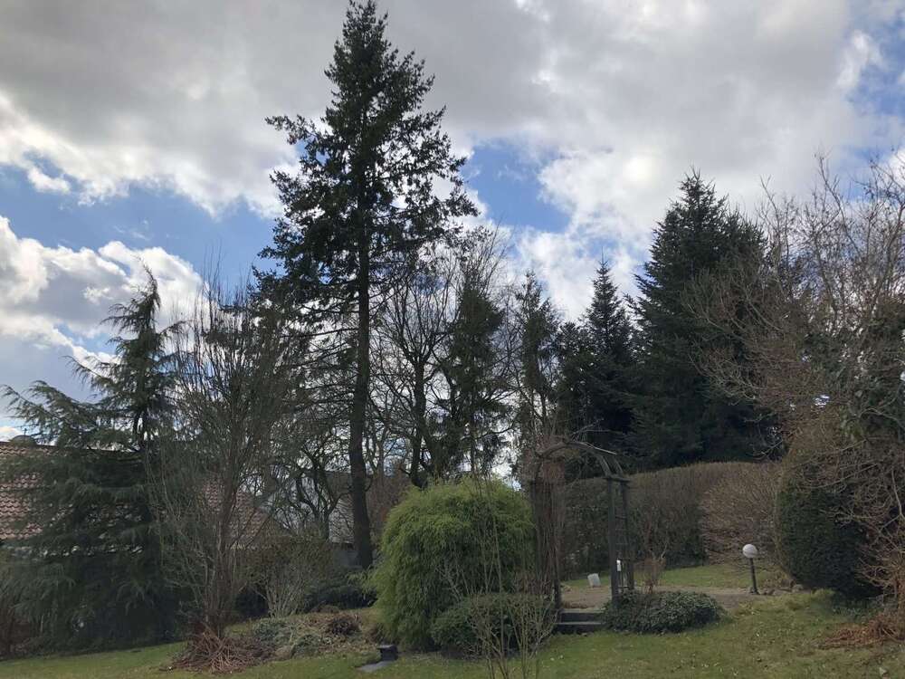 Thumbnail-Grundstück in Altfraunhofen 98.750,00 € 400 m²