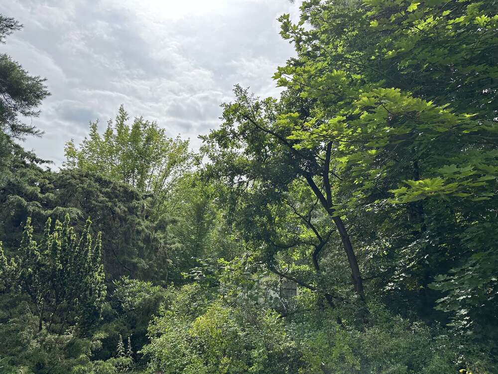 Thumbnail-Grundstück zu verkaufen in Berlin 368.000,00 € 1022 m²