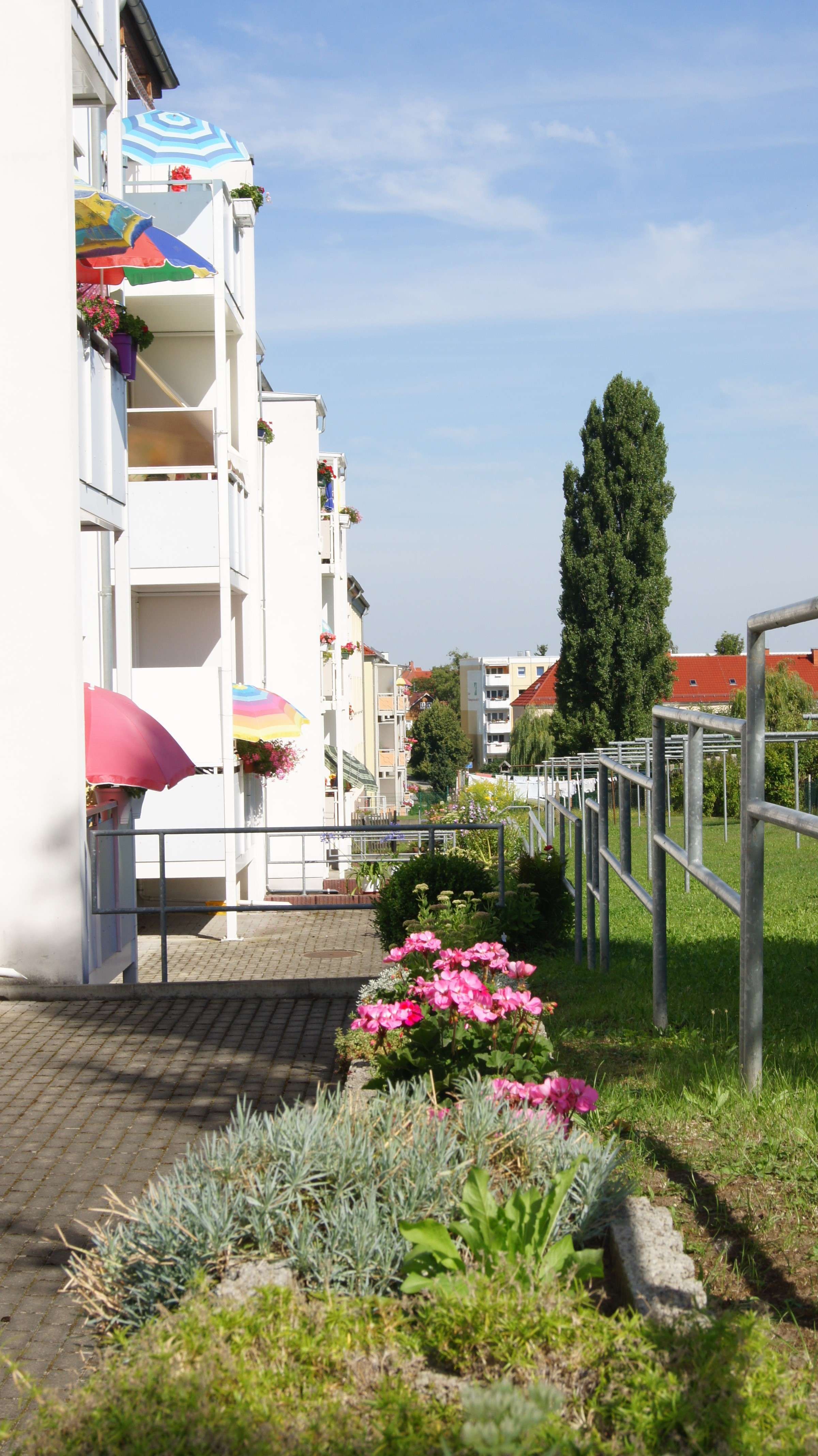 Thumbnail-Wohnung zum Mieten in Zeitz 312,00 € 52 m²