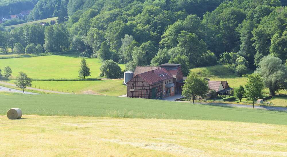 Thumbnail-Haus zum Kaufen in Freden 449.000,00 € 298 m²