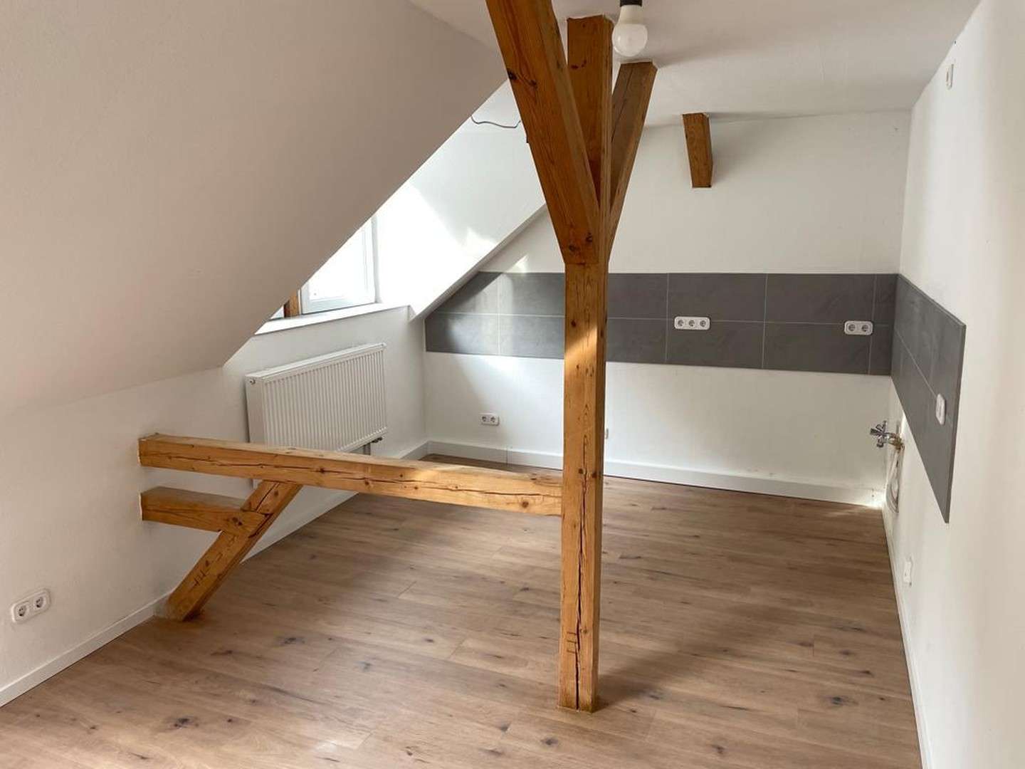 Thumbnail-Wohnung zum Mieten in Zehren 450,00 € 65 m²