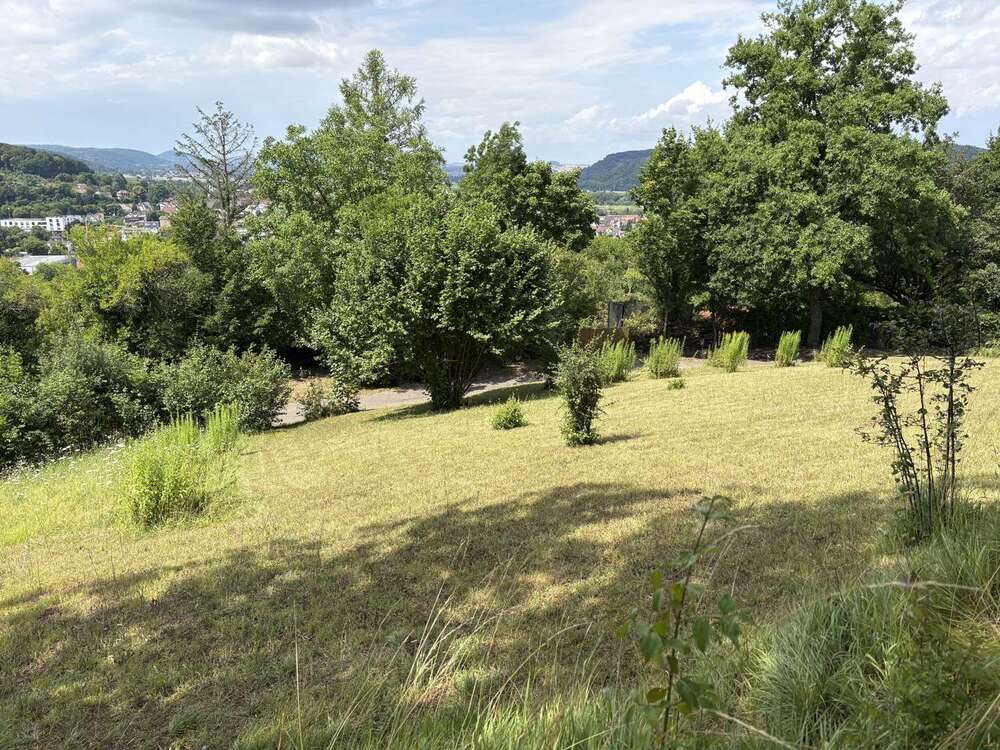Thumbnail-Grundstück zu verkaufen in Tübingen 100.000,00 € 939 m²