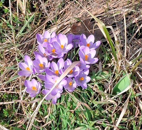 Thumbnail-Grundstück zu verkaufen in Groß Kreutz (Havel) 128.000,00 € 1064 m²