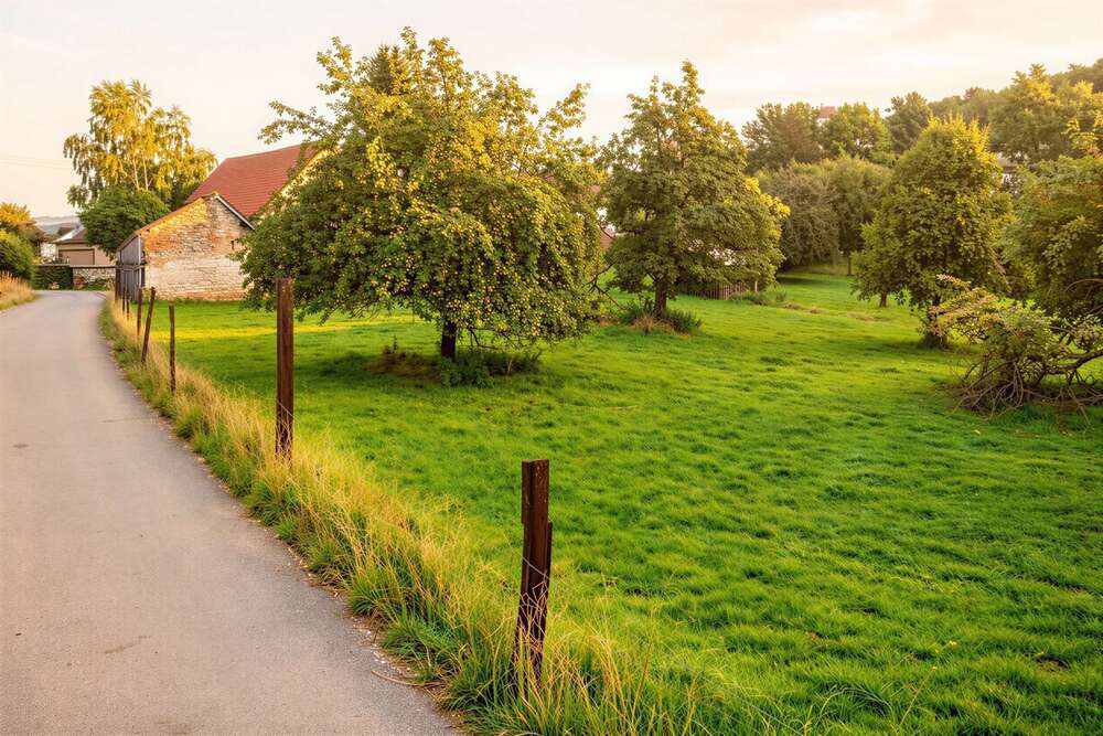 Thumbnail-Grundstück zu verkaufen in Balzheim 155.000,00 € 730 m²