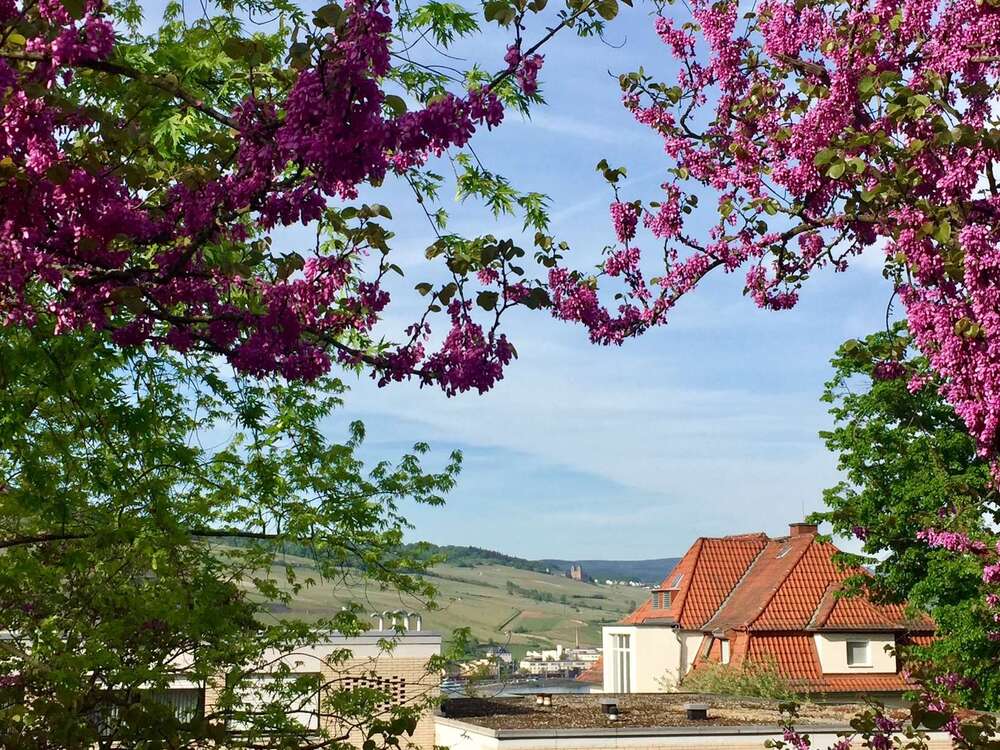 Thumbnail-Wohnung zum Kaufen in Bingen 245.000,00 € 85 m²