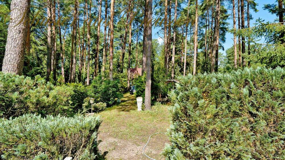 Thumbnail-Grundstück zu verkaufen in Löwenberger Land 180.000,00 € 1021 m²