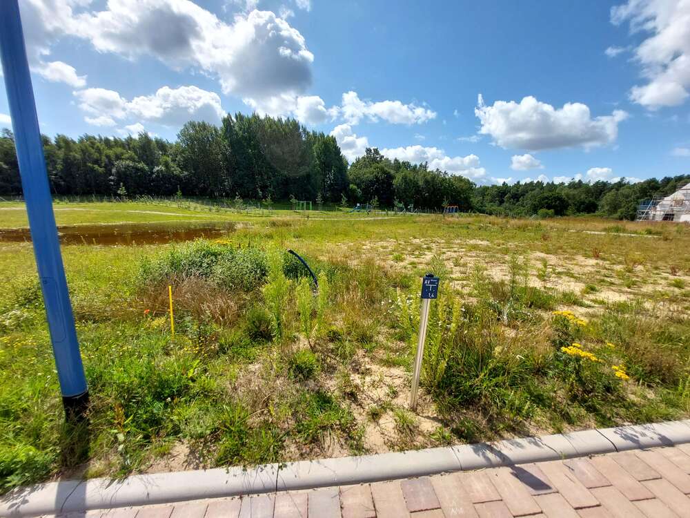 Thumbnail-Grundstück zu verkaufen in Bergen OT Tilzow 117.700,00 € 659 m²