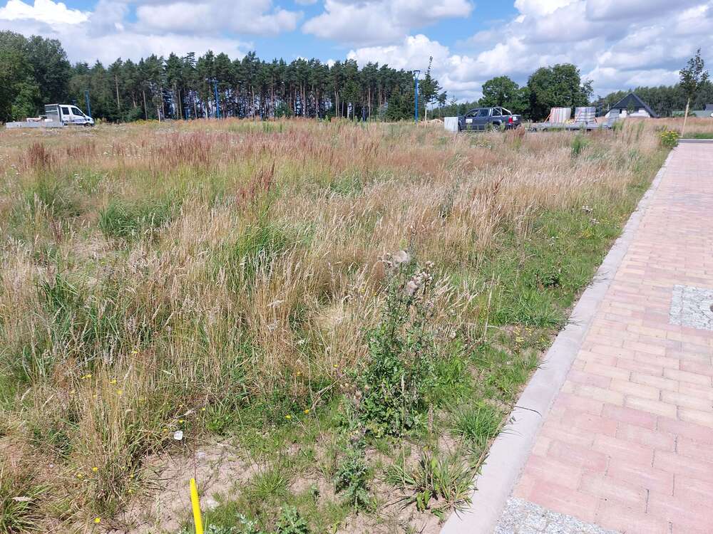 Thumbnail-Grundstück zu verkaufen in Bergen OT Tilzow 116.700,00 € 654 m²