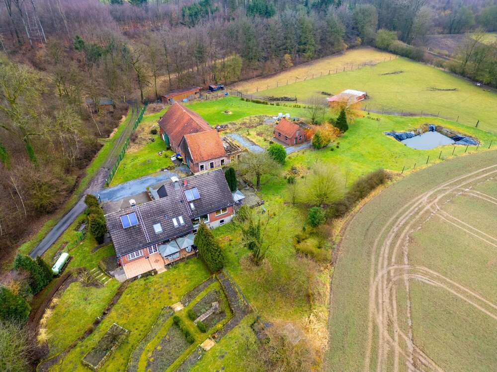 Thumbnail-Haus zum Kaufen in Billerbeck 1.180.000,00 € 260 m²