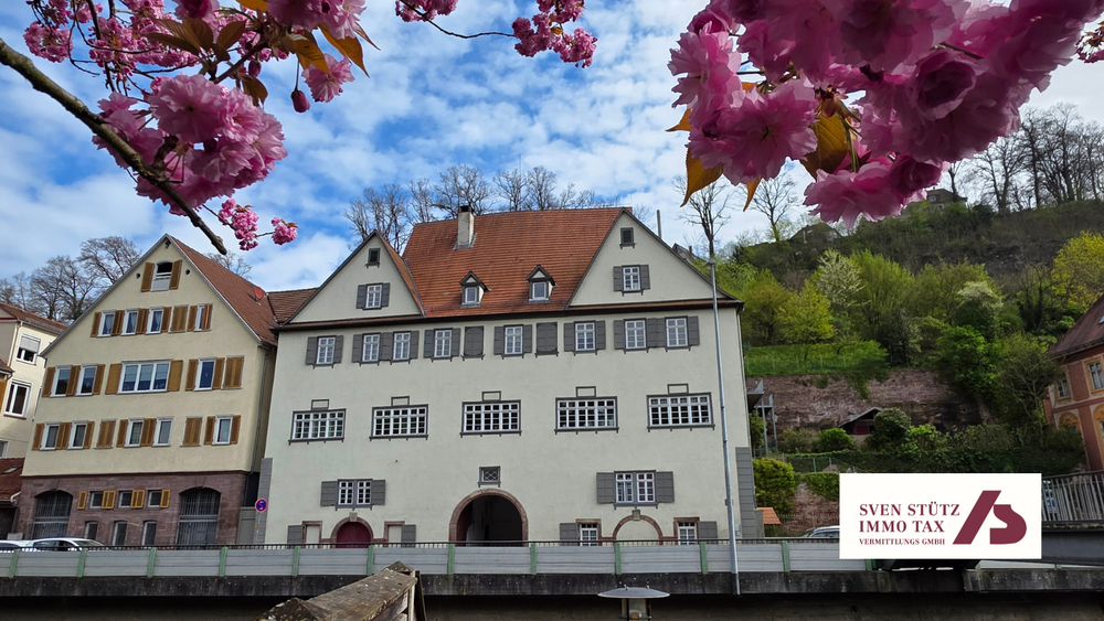 Thumbnail-Wohnung zum Kaufen in Calw 595.000,00 € 245 m²