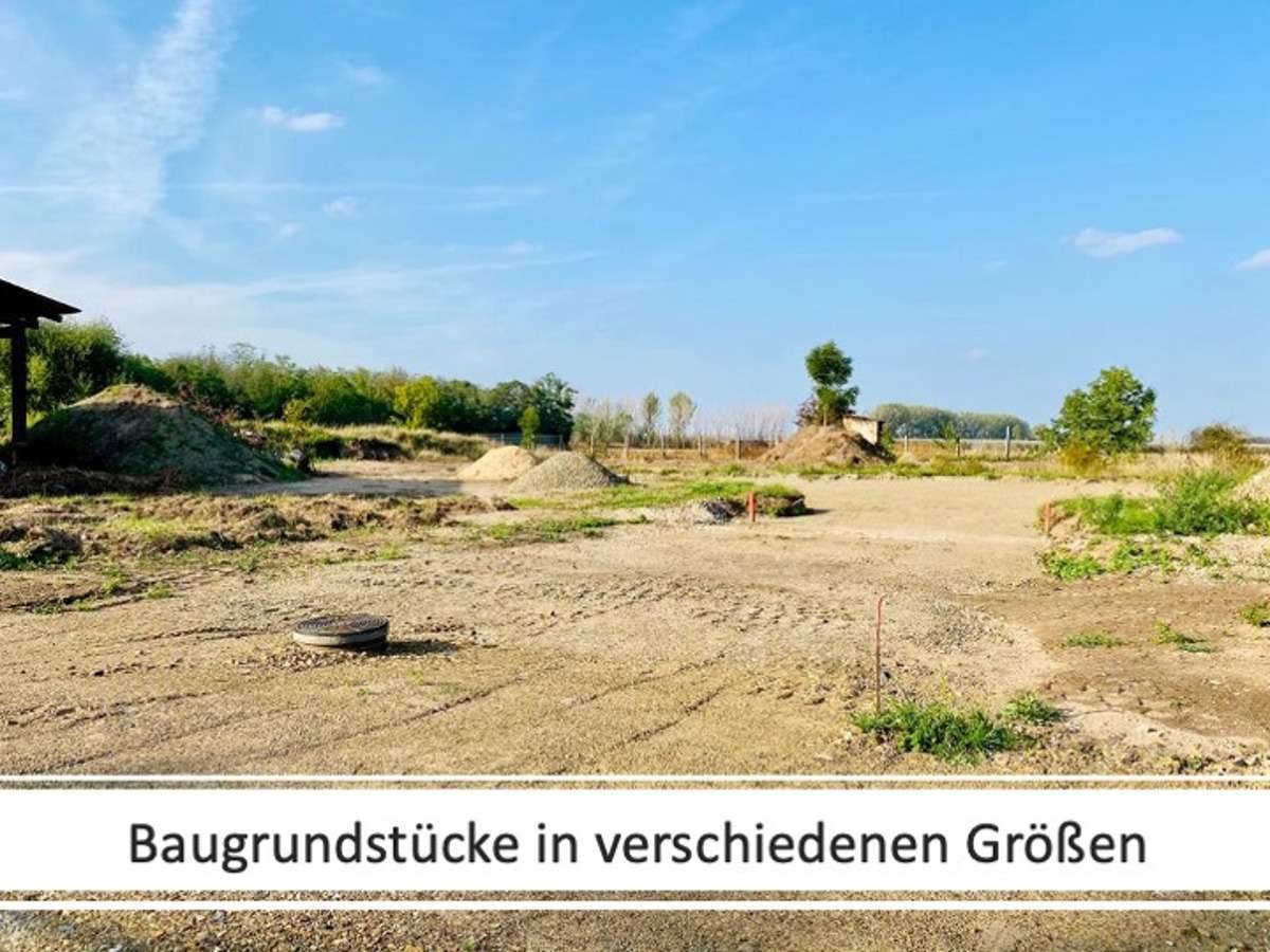 Thumbnail-Grundstück zu verkaufen in Güsten 34.800,00 € 870 m²