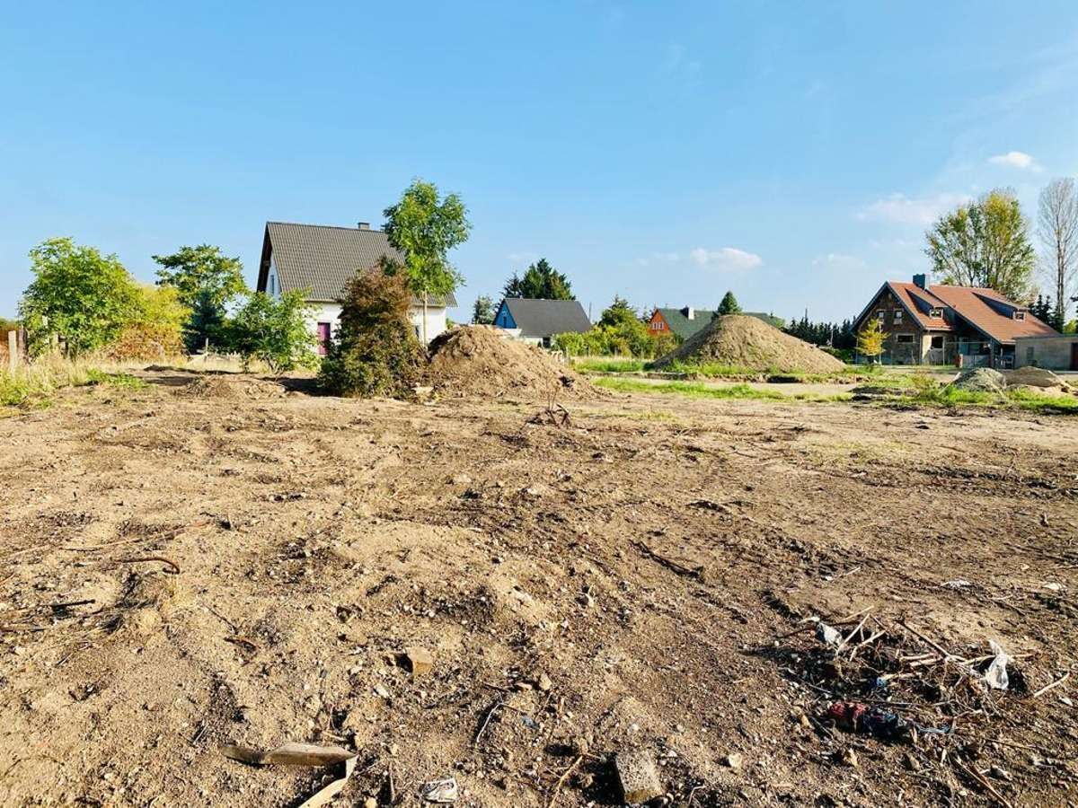 Thumbnail-Grundstück zu verkaufen in Güsten 80.000,00 € 4000 m²