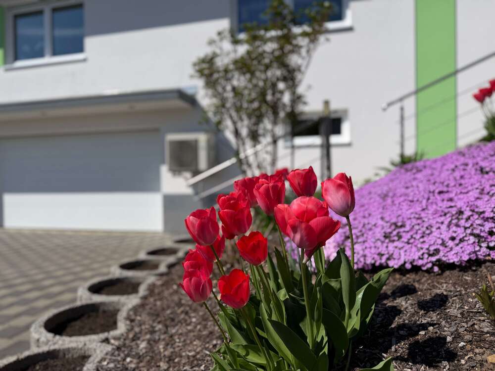 Thumbnail-Haus zum Kaufen in Bad Saulgau 564.000,00 € 135.88 m²