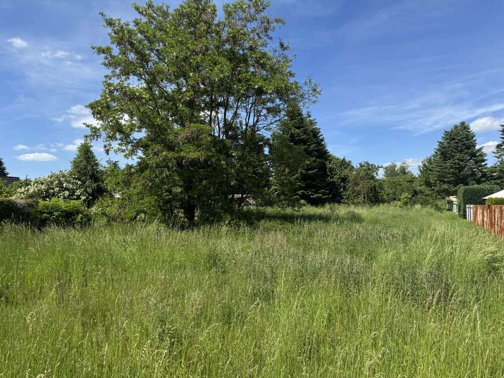 Thumbnail-Grundstück zu verkaufen in Zehdenick Havel 99.000,00 € 1439 m²
