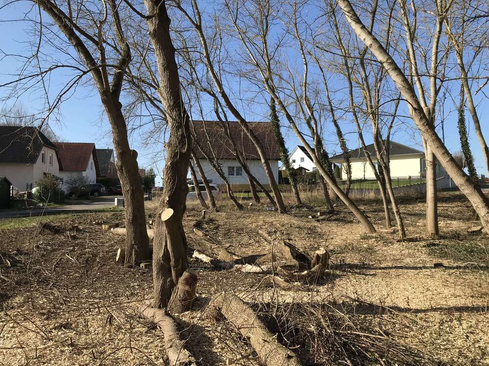 Thumbnail-Grundstück zu verkaufen in Hohenmölsen 49.000,00 € 722.33 m²