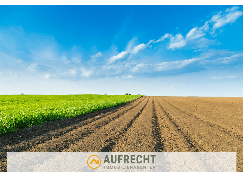 Thumbnail-Grundstück in Jetzendorf 289.800,00 € 14516 m²