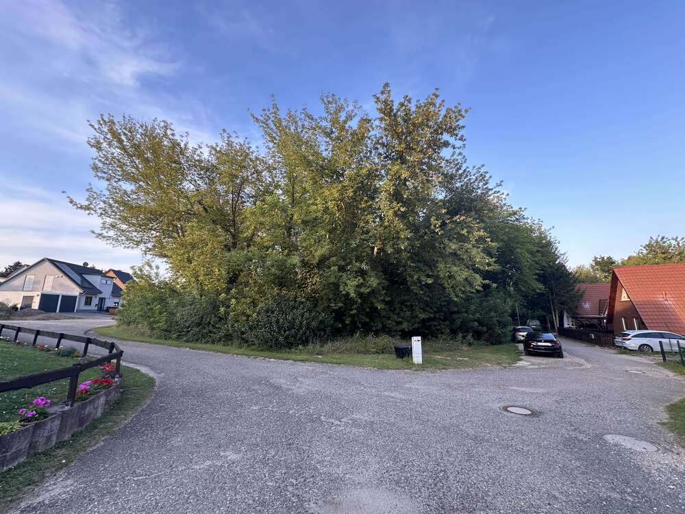 Thumbnail-Grundstück zu verkaufen in Hohenmölsen 119.000,00 € 2167 m²