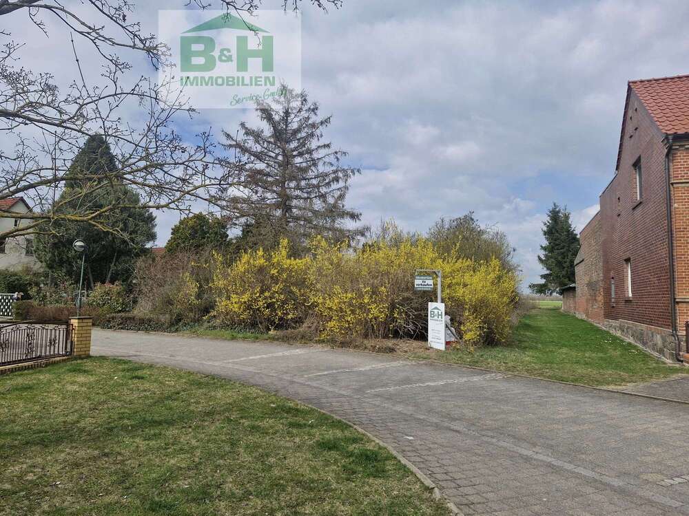 Thumbnail-Grundstück zu verkaufen in Sandersdorf Heideloh 25.000,00 € 3174 m²