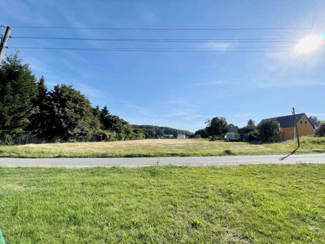 Thumbnail-Grundstück zu verkaufen in Steina 99.000,00 € 1182 m²