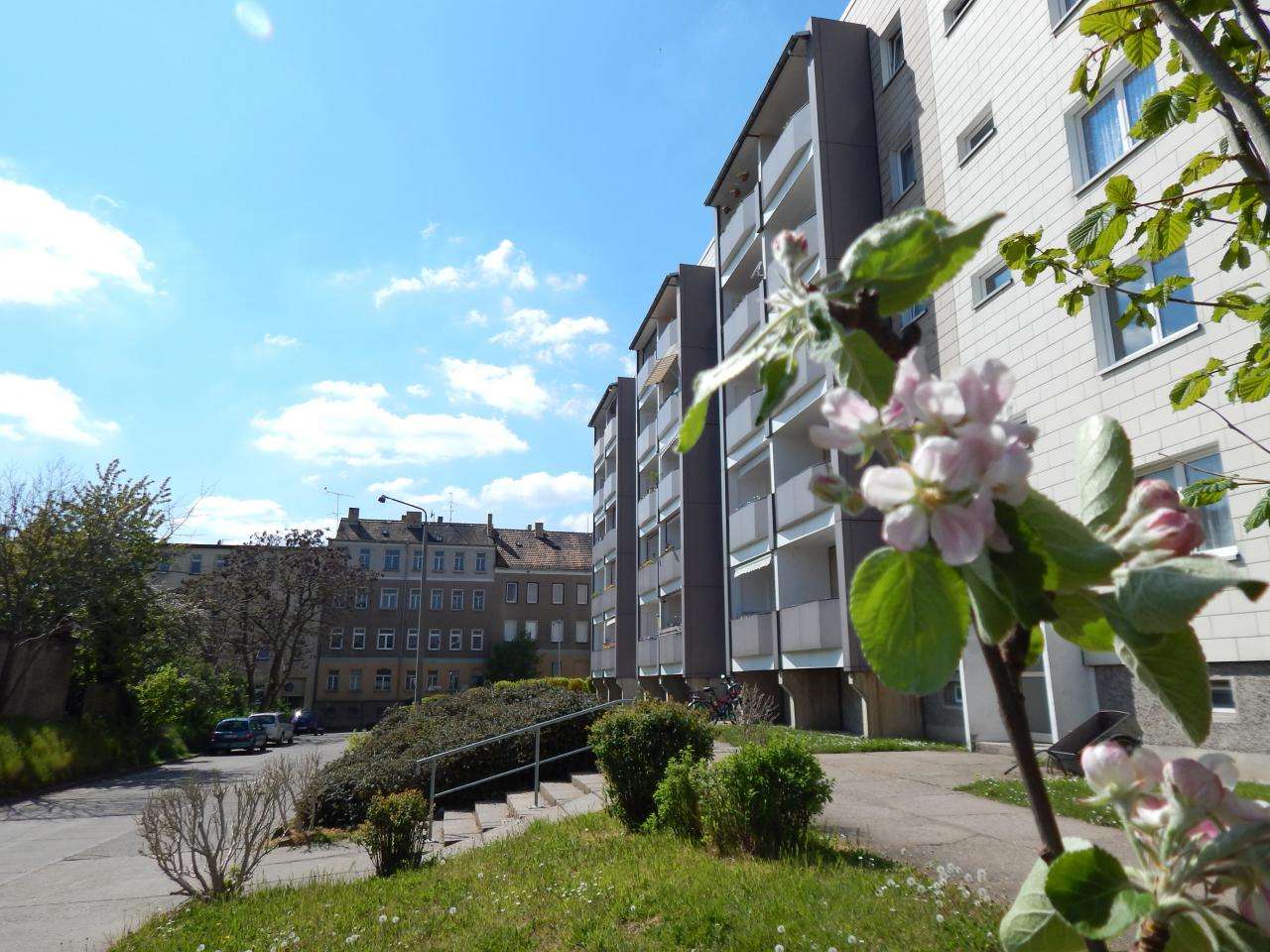 Thumbnail-Wohnung zum Mieten in Schkeuditz 540,00 € 60 m²