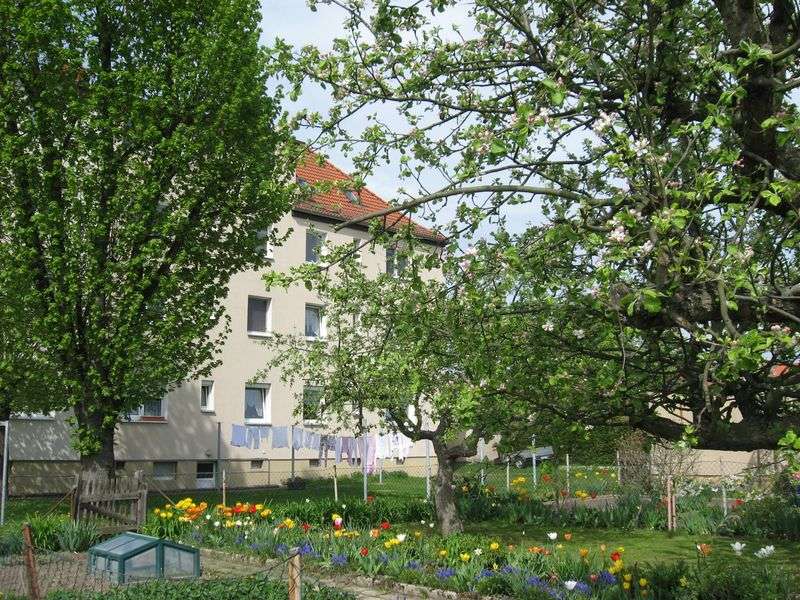 Thumbnail-Wohnung zum Mieten in Schkeuditz 486,00 € 54 m²