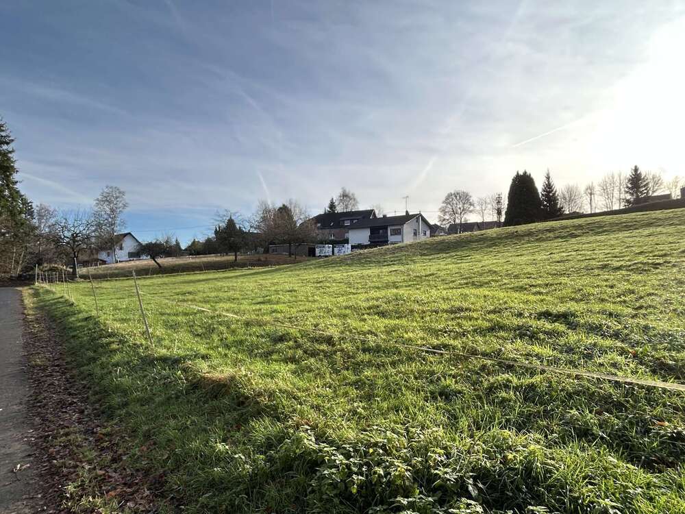 Thumbnail-Grundstück zu verkaufen in Altenkirchen 76.000,00 € 4229 m²