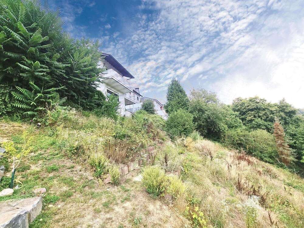 Thumbnail-Haus zum Kaufen in Selters 498.000,00 € 366 m²