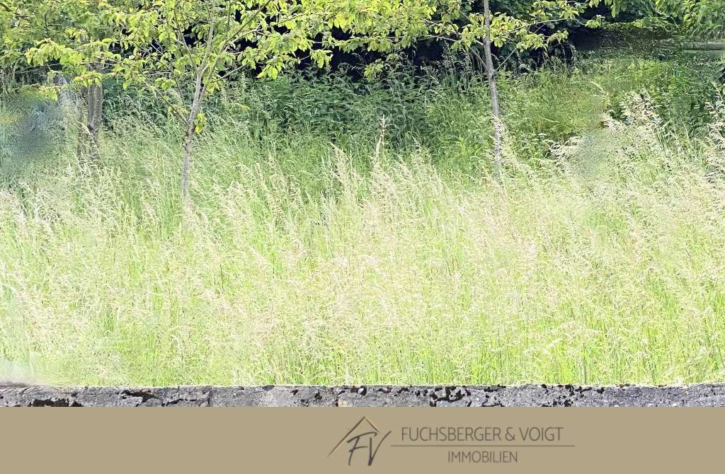 Thumbnail-Grundstück zu verkaufen in Schmitten 150.000,00 € 745 m²