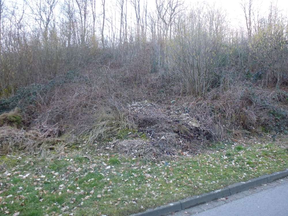 Thumbnail-Grundstück zu verkaufen in Reichshof Brüchermühle 54.000,00 € 2407 m²