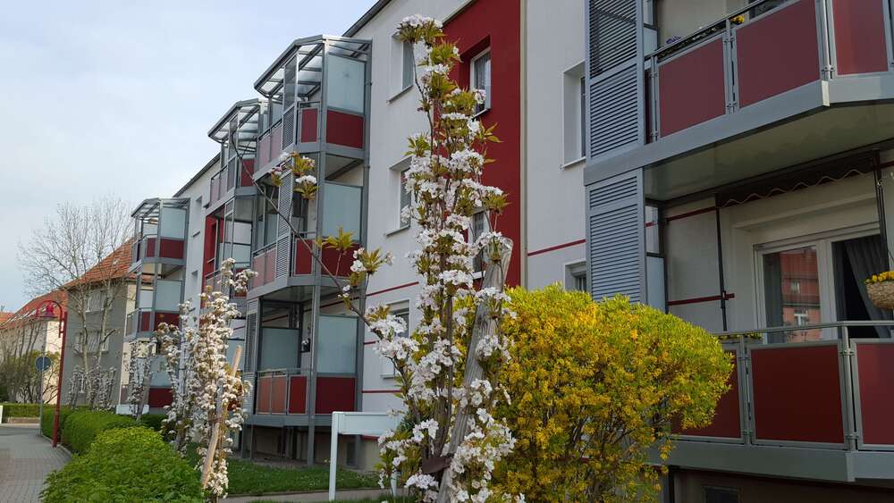 Thumbnail-Wohnung zum Mieten in Gotha 466,00 € 66.55 m²