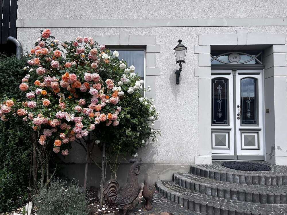 Thumbnail-Haus zum Kaufen in Wendeburg 899.000,00 € 345 m²