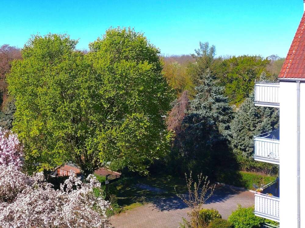 Thumbnail-Wohnung zum Kaufen in Leipzig 299.100,00 € 98.88 m²